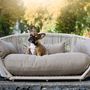 Pet accessories - Design Dog Lounge - LABONI