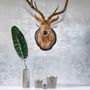 Decorative objects - COLLECTOR EDITION - SENS COLLECTION