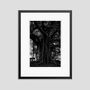 Photos d'art - Black Tree - GALERIE PRINTS