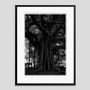Photos d'art - Black Tree - GALERIE PRINTS