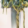 Design objects - ACID GREEN CEILING LAMP - MICKI CHOMICKI HAIR BRUT
