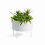 Decorative objects - GREEN PEDESTALS O2ASIS - OFFECCT