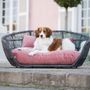 Accessoires animaux - Design Dog Lounges - LABONI