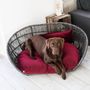 Accessoires animaux - Design Dog Lounges - LABONI