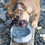 Accessoires animaux - Award winning dog bowl ROCKY - LABONI
