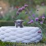 Fabric cushions - Design dog bed RIVA - LABONI