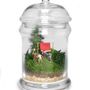 Decorative objects - TerrariumArt - TERRARIUMART