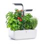 Other smart objects - Véritable® Garden SMART - VERITABLE