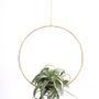 Decorative objects - Ring - HALI-ANN TOOMS STUDIO
