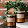 Home fragrances - P.F. Candle Co. - P.F. CANDLE CO