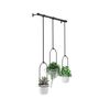 Other wall decoration - TRIFLORA Hanging planters - UMBRA