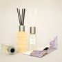 Gifts - ÉDIT (h) Home Fragrance Reed Diffuser - ÉDIT(H)