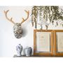 Other wall decoration - Soft Deer Cluny - Animal head - SOFTHEADS