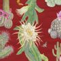Papiers peints - Cactus du Mexique - NEWTON PAISLEY