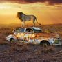 Autres décorations murales - COLORS - Lost Cars Lions - GALLERY VERTICAL