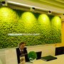 Office design and planning - Preserved Green Wall - Forest - GREEN MOOD