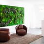 Office design and planning - Preserved Green Wall - Forest - GREEN MOOD