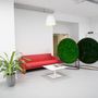 Decorative objects - G-Screen - GREEN MOOD