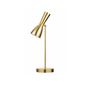 Desk lamps - WORMHOLE 04 TABLE LAMP GOLD - BRONZETTO