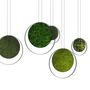 Decorative objects - Ring - GREEN MOOD