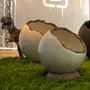 Decorative objects - Dinosaure eggs - SILODESIGN