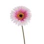 Décorations florales - Fleurs artificielles - JASACO / PURE ROYAL / BELGIUM