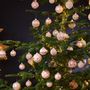 Christmas garlands and baubles - Christmasball with glitter, pink/silver color, 4 assorted,  8 cm Ø - WURM G. GMBH + CO. KG