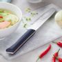 Kitchen utensils - Kitchen knives INTEMPORA - OPINEL