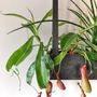 Other wall decoration - Planter - with leather straps - HANDLES AND MORE