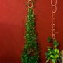 Décorations florales - Treille en laiton pour plantes grimpantes - Interieur/exterieur - BOTANOPIA