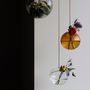 Vases - Flower and plant bubbles, hanging - STUDIO ABOUT
