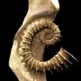 Sculptures, statuettes and miniatures - Rare ammonite hétéromorphe - MISSING LINK