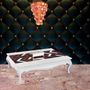 Coffee tables - SERPENTINE COFFEE TABLE - SRISTI DESIGN STUDIO