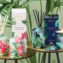 Home fragrances - URBAN BOTANICS  - STONEGLOW CANDLES