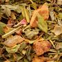 Coffee and tea - Organic Winter Herbal tea - PROVENCE D ANTAN