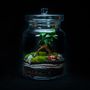 Design objects - DARWIN MEDIUM terrarium - JUNGLE GLASS