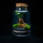 Objets design - WALLACE LARGE terrarium  - JUNGLE GLASS