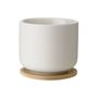 Tea and coffee accessories - Theo collection - STELTON