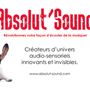 Speakers and radios - Absolut-Plate, Absolut-Box, absolut-Pool. - ABSOLUT’SOUND