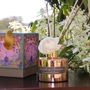 Scent diffusers - Scented diffuser "Les Moissons" collection - ISABELLE EN TOURAINE
