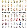 Objets de décoration - Flower Colour Guide - PHAIDON PRESS