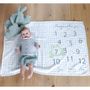 Gifts - Blanket / baby photobooth  - LITTLE CREVETTE