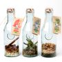 Delicatessen - Organic spiced rum mixes - QUAI SUD