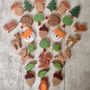 Loisirs créatifs pour enfant - Emporte-pièce écureuil dans la collection forêt - W! EUROPE S.R.O