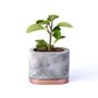Design objects - Ocean Planter Oval w/ Copper Base - D.A.R. PROYECTOS