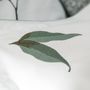 Bed linens - Bed linen Botanic percale of cotton - TRADITION DES VOSGES