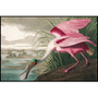 Other wall decoration - Changeable Roseate Spoonbill Bird including frame - MONDILAB