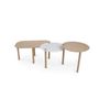 Coffee tables - SMALL COFFEE TABLE AND DUO OF TRAYS by Nestor - DIZY