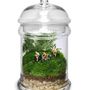 Gifts - TerrariumArt glass 3010 - TERRARIUMART