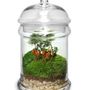 Gifts - TerrariumArt glass 3010 - TERRARIUMART